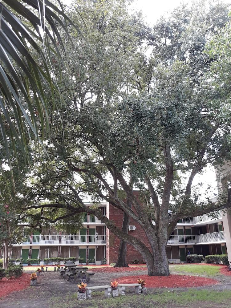 Days Inn By Wyndham Mt Pleasant-Charleston-Patriots Point Exteriör bild